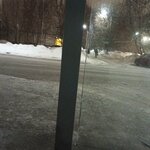Каштановая улица (Moscow Region, Odintsovskiy Urban District, rabochiy posyolok Zarechye, Zarechnaya ulitsa) ، توقف وسائل النقل العام