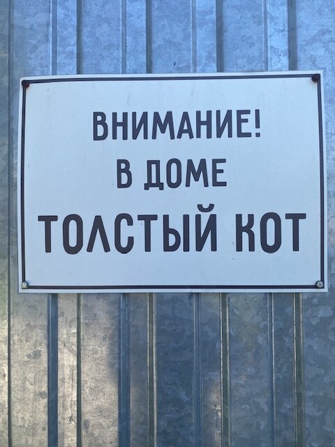 Фото Толстый кот