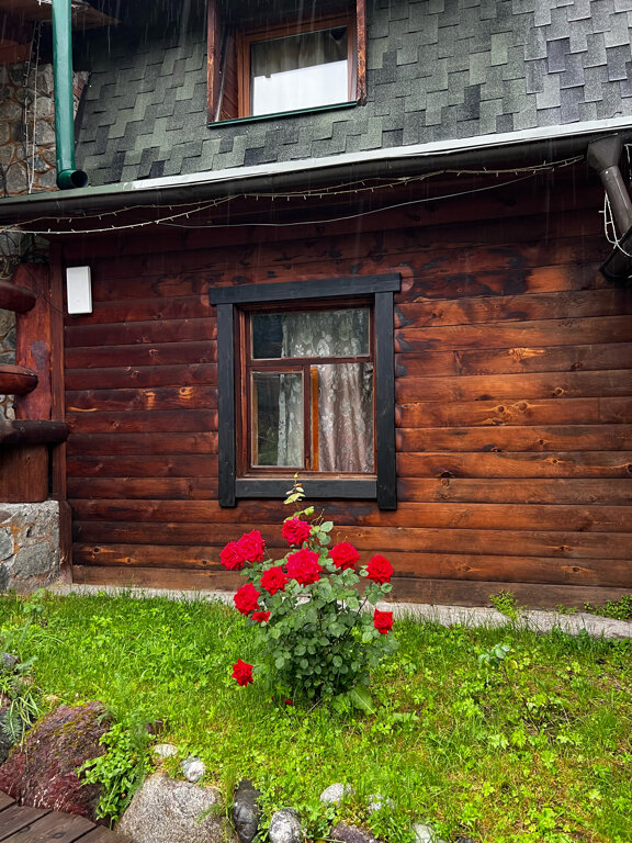 Фото Ару Кёль