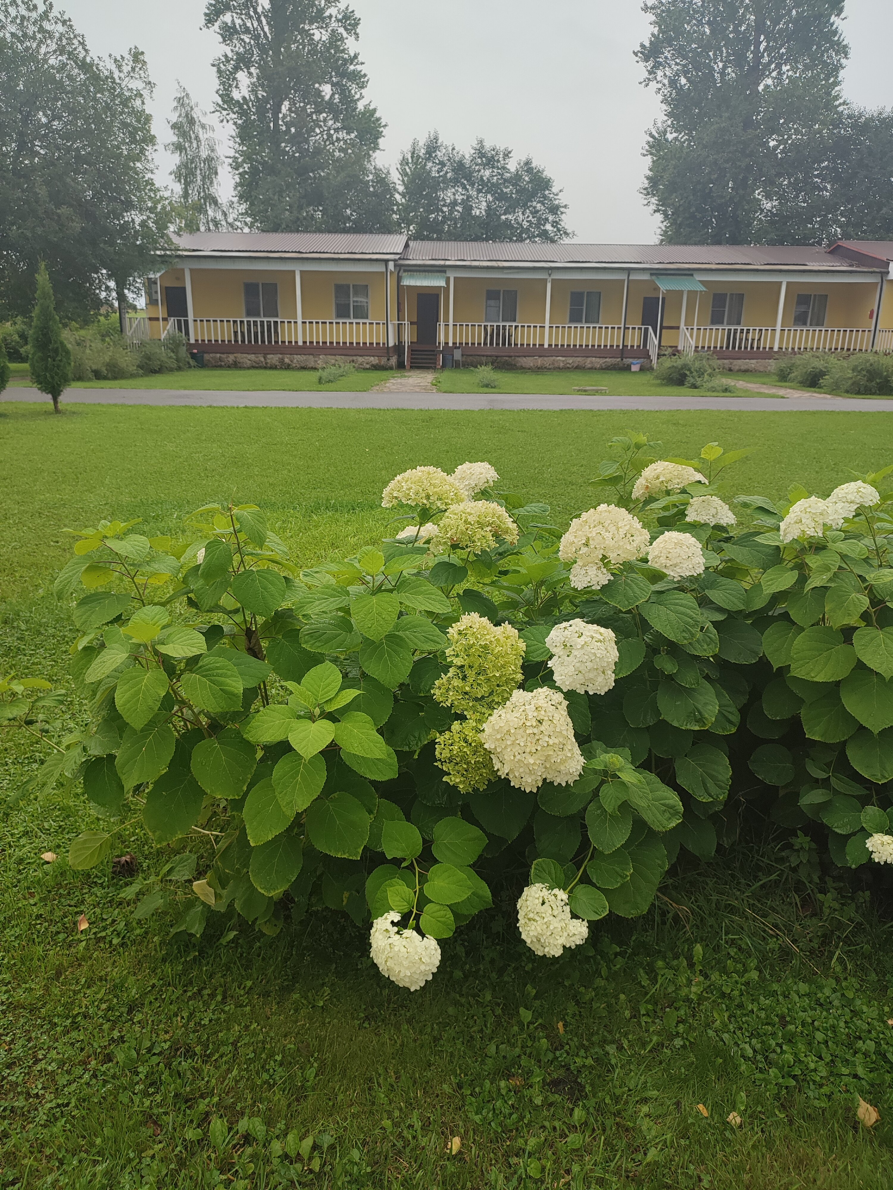 Фото Староладожская дача