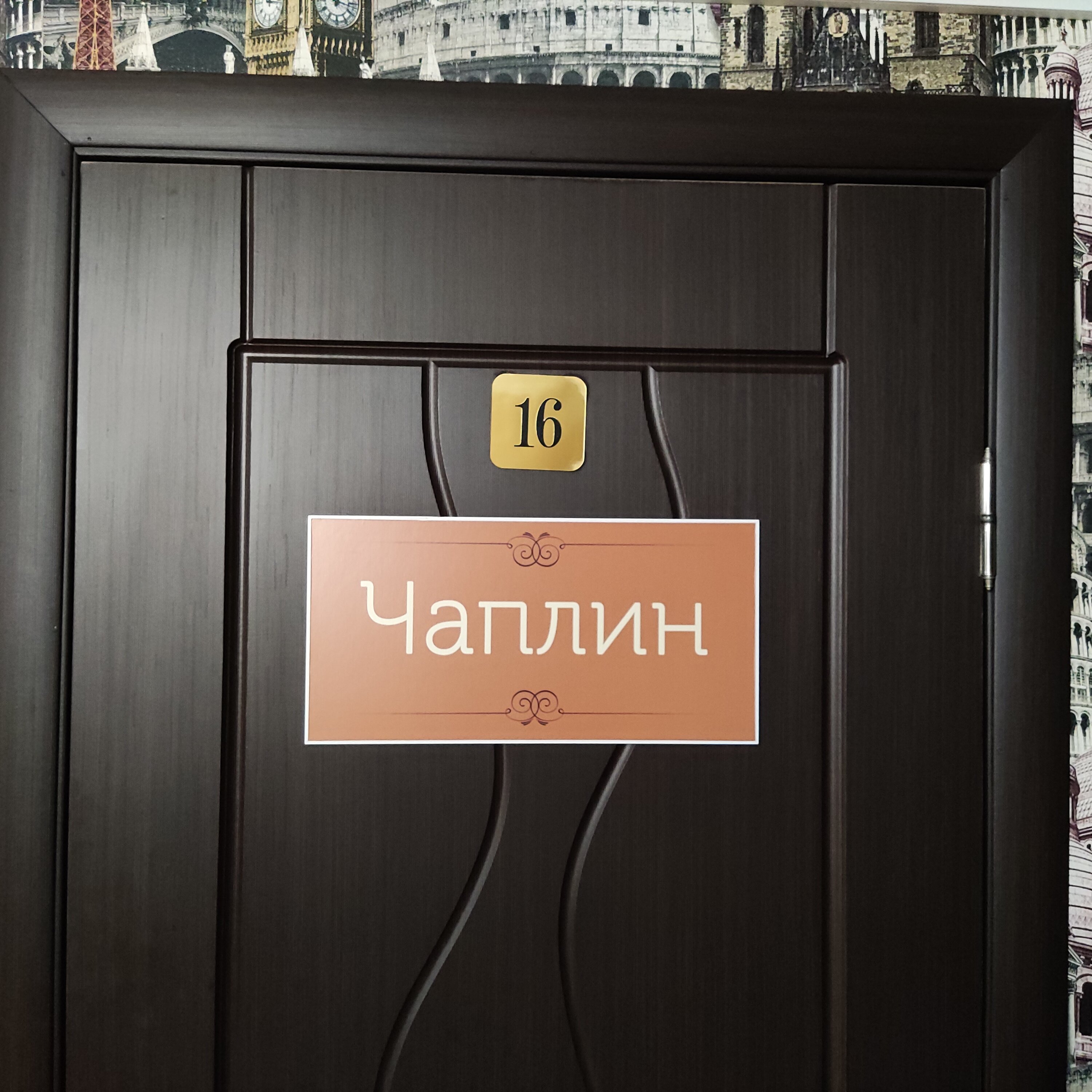 Фото Наутилус