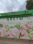Елена (Karla Marksa Street, 78А), flowers and bouquets delivery