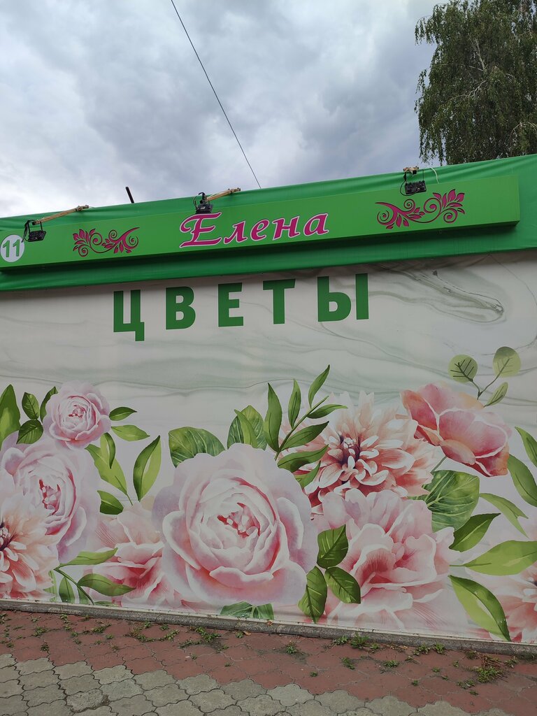 Flowers and bouquets delivery Елена, Togliatti, photo