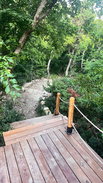 Фото Звезда