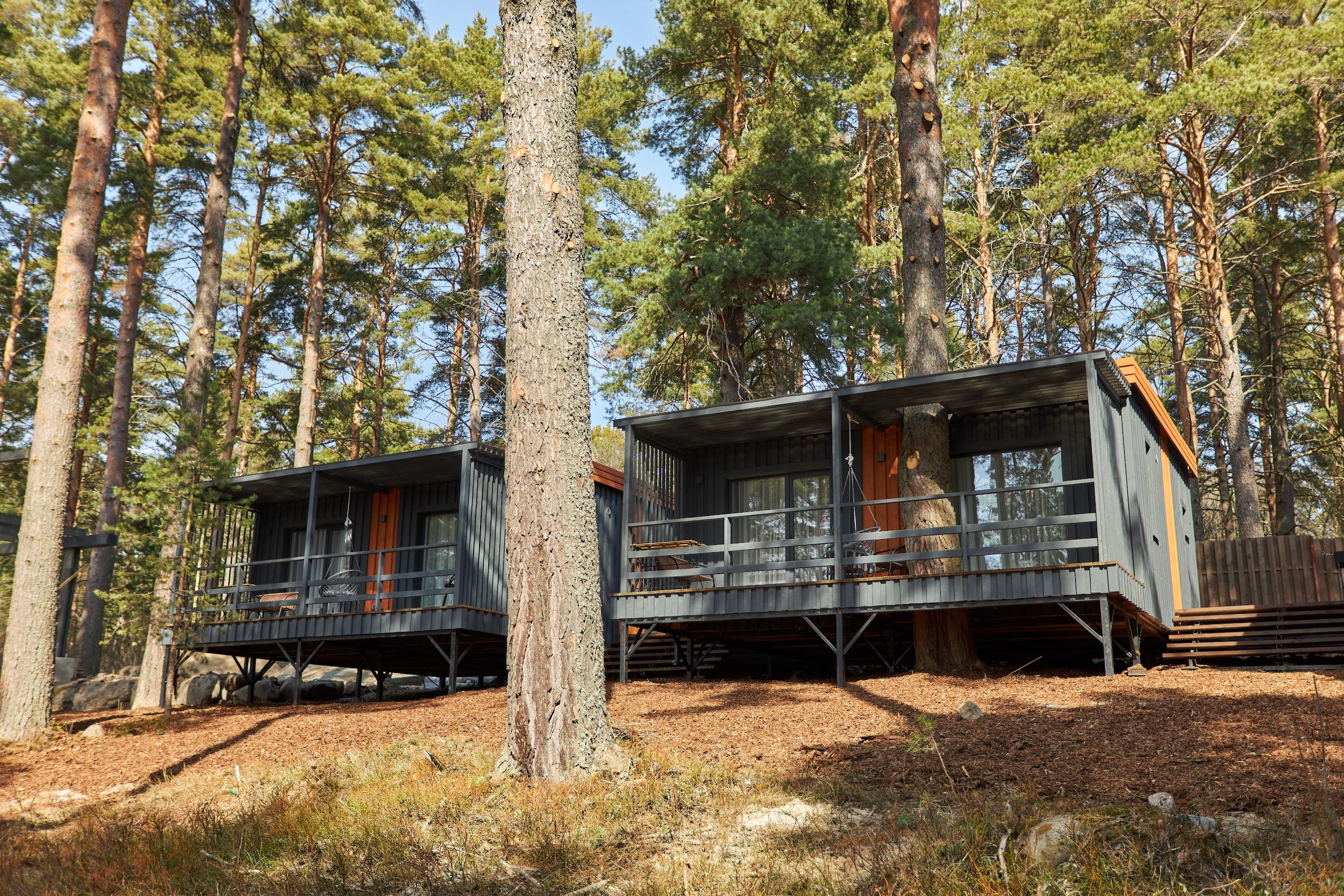 Фото Талео Хоум