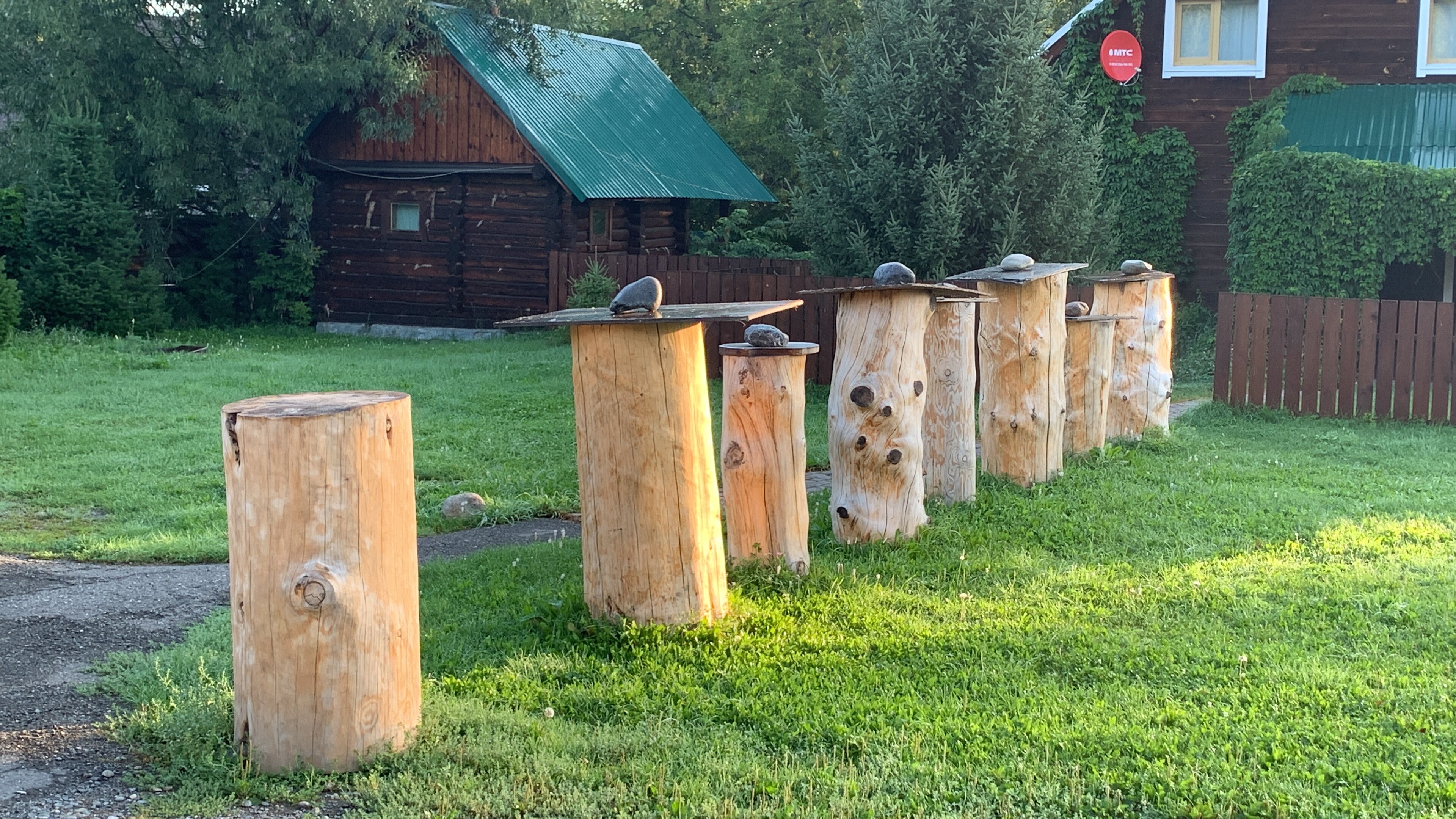 Фото Алтай rest