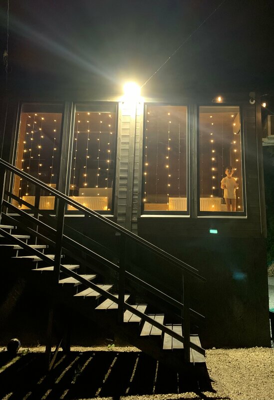 Павлония — фото 12
