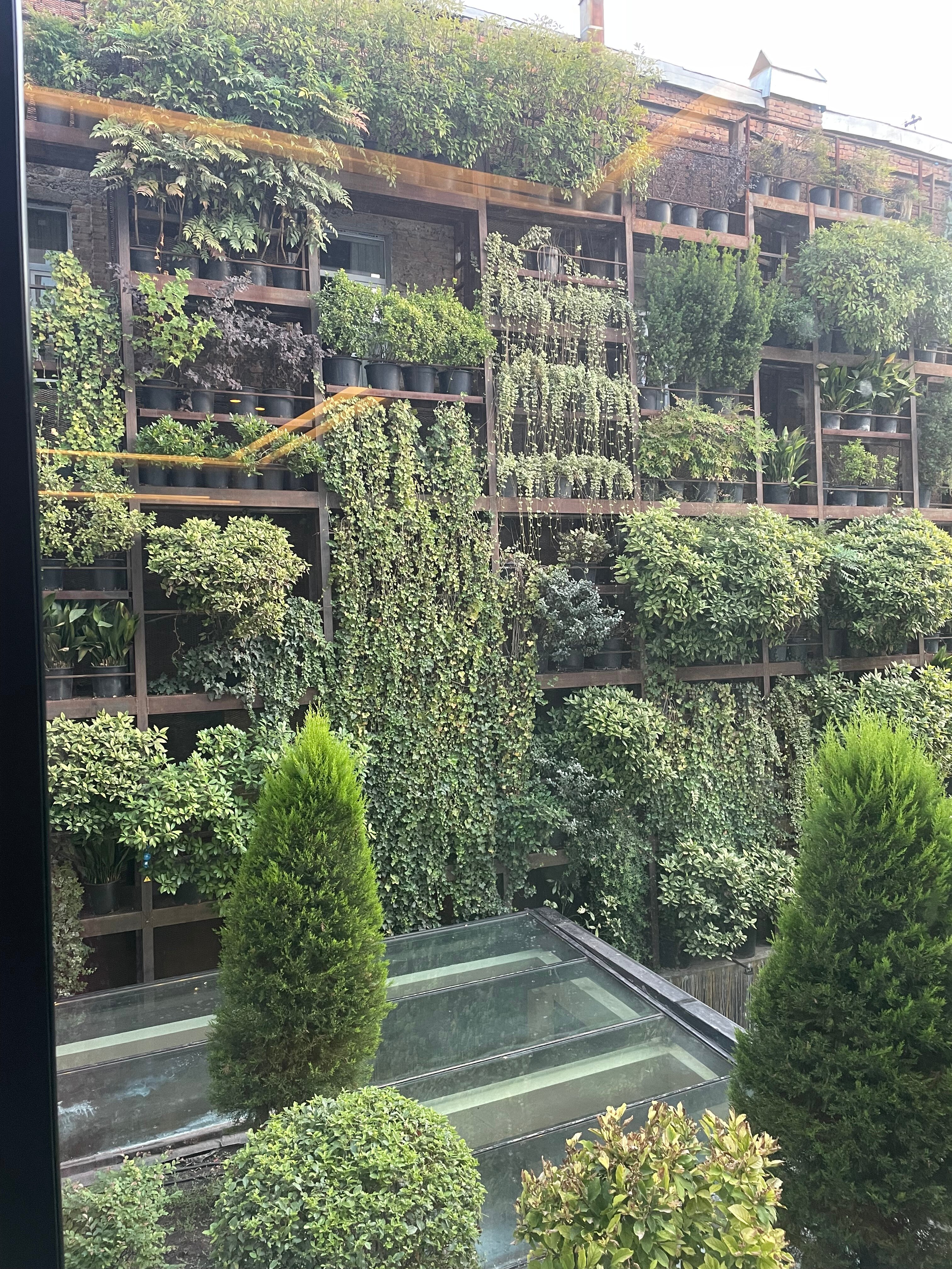 Фото Iota Hotel Tbilisi