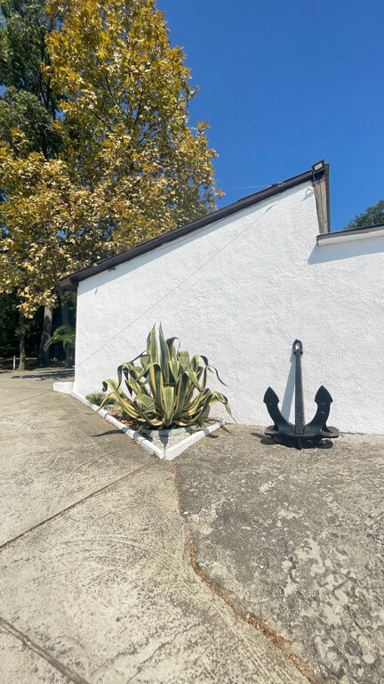 Фото Green Apple