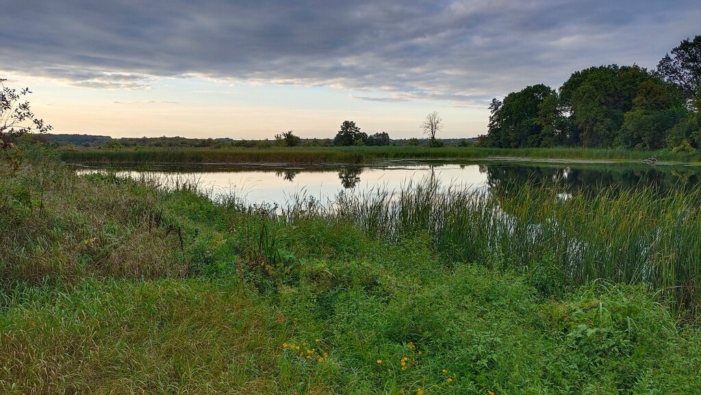Nature reserve Памятник природы регионального значения Круглянский затон, Lipetsk Oblast, photo
