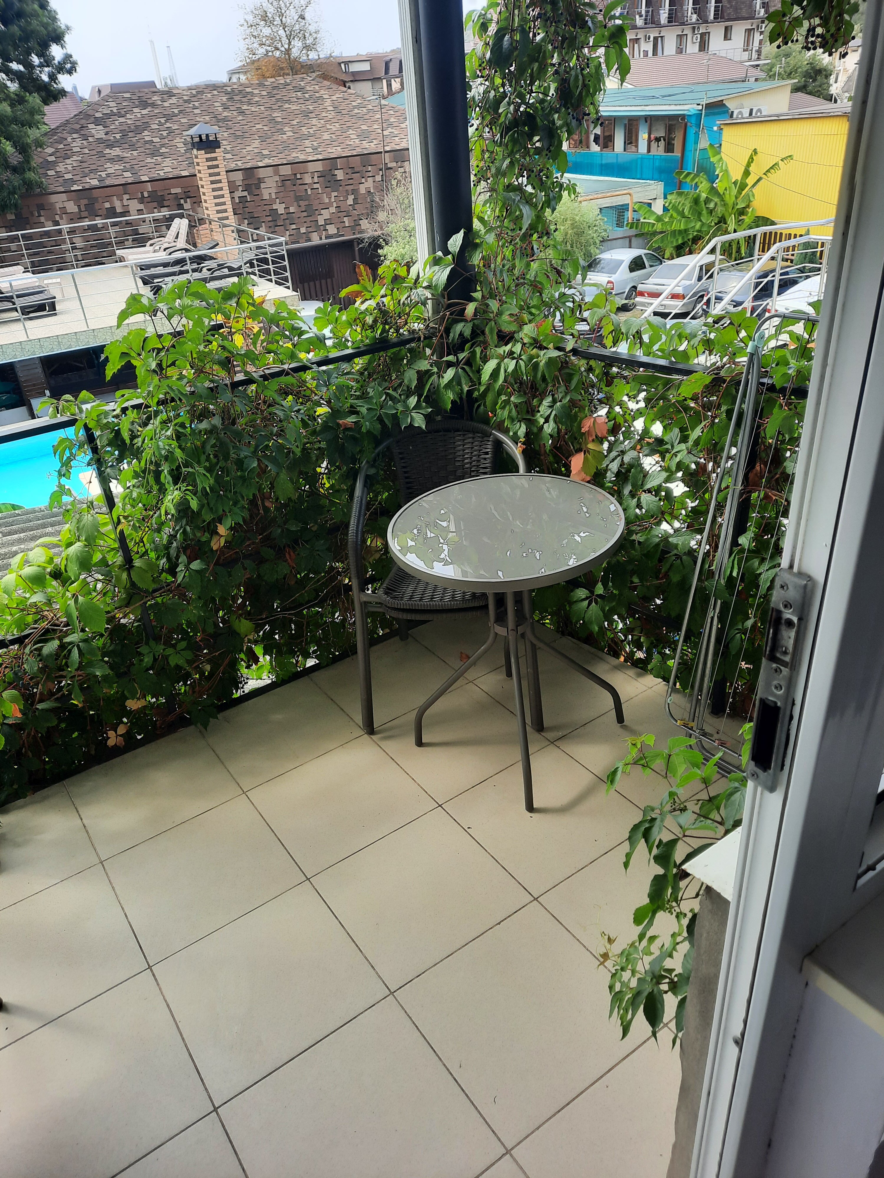 Фото Березы