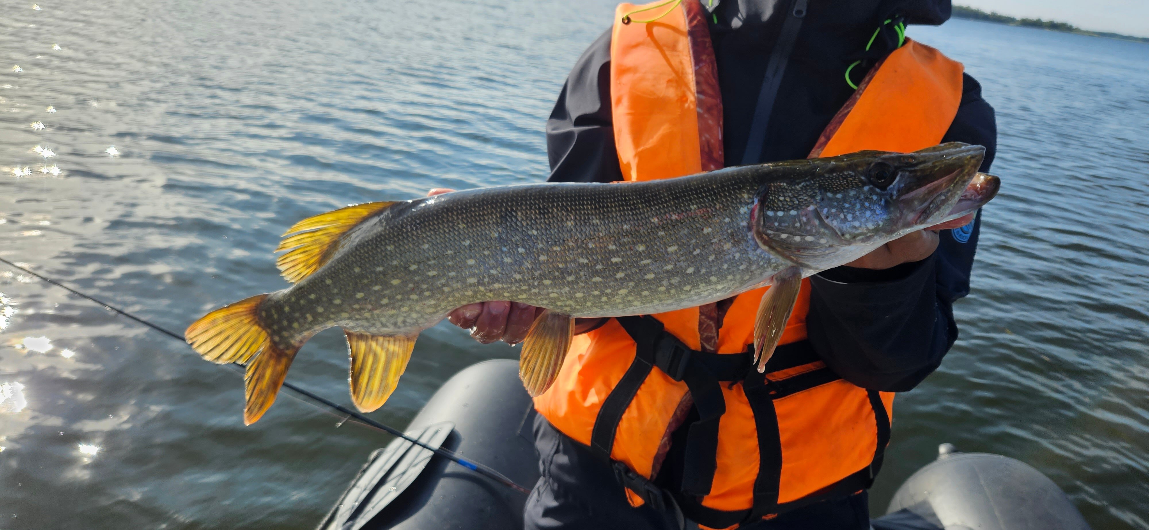 Фото СабуровДом