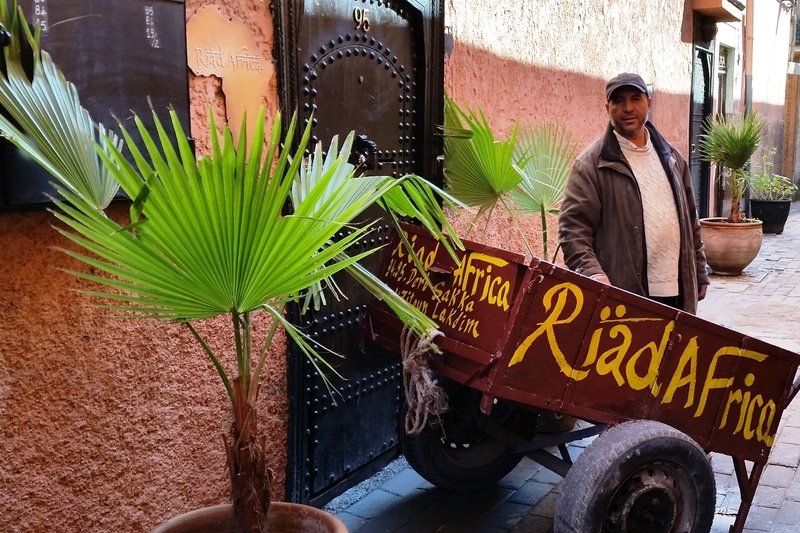 Фото отеля 5