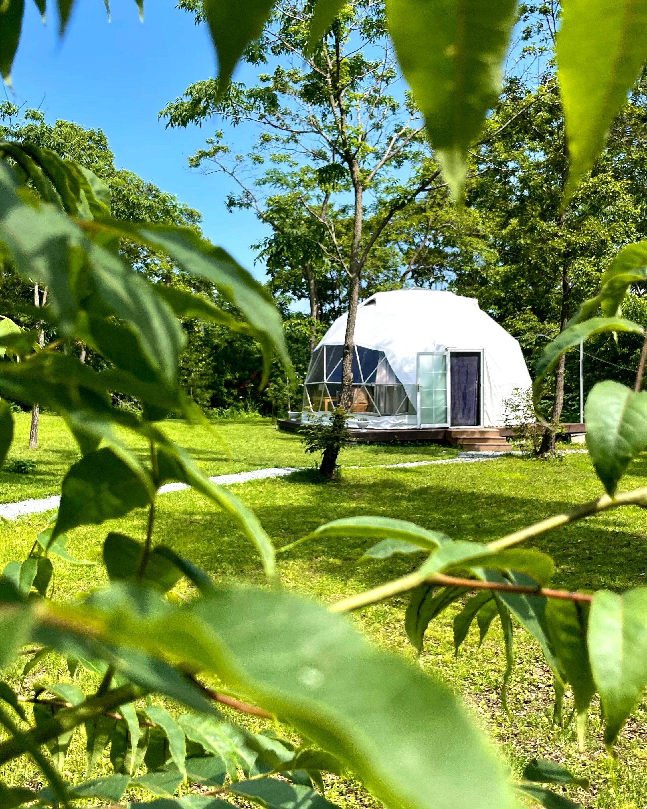 Фото Граф Потоцкий