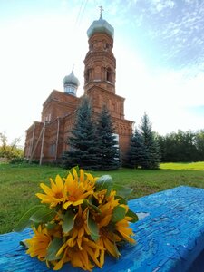 Церковь Казанской иконы Божией Матери (Курская область, Железногорский район, Андросовский сельсовет, село Андросово), православный храм в Курской области