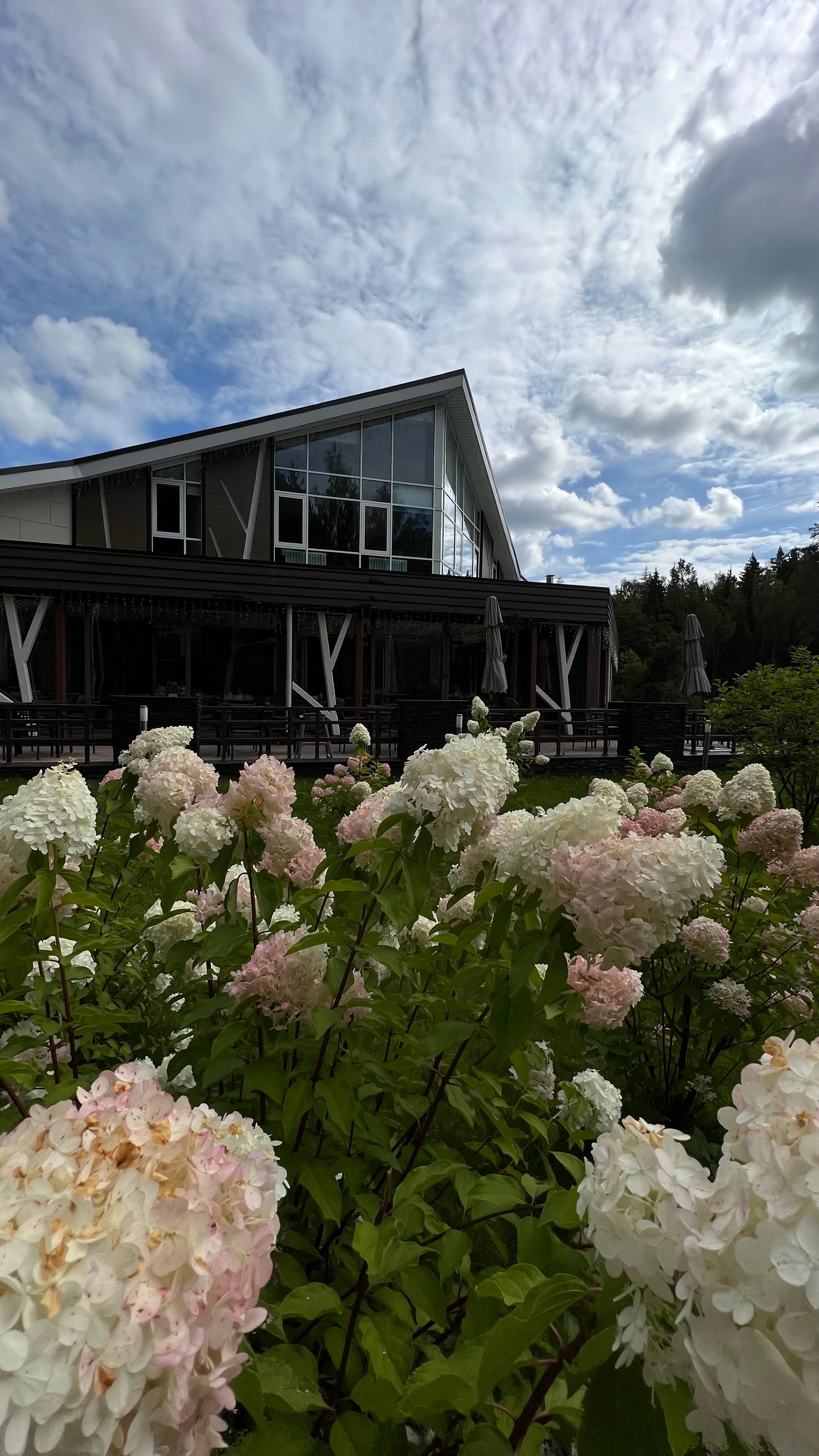 Фото Доброград Village