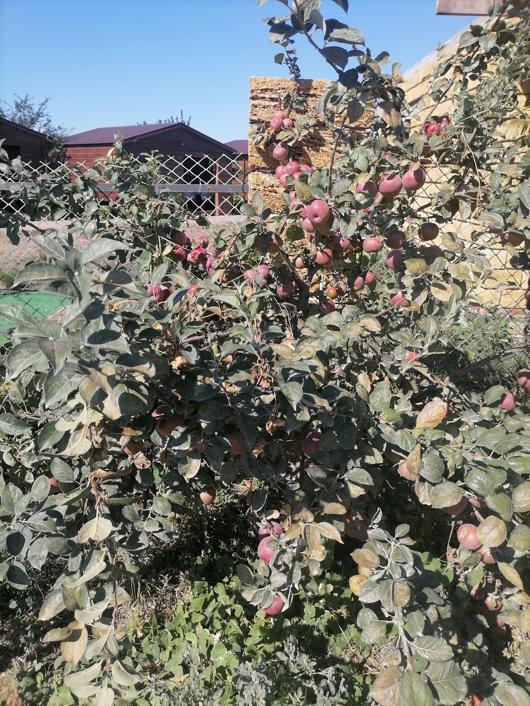 Фото Бунгало Волна