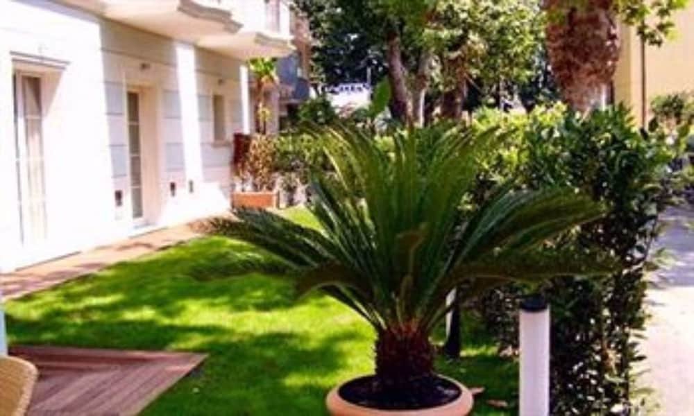 Фото Accademia Rimini