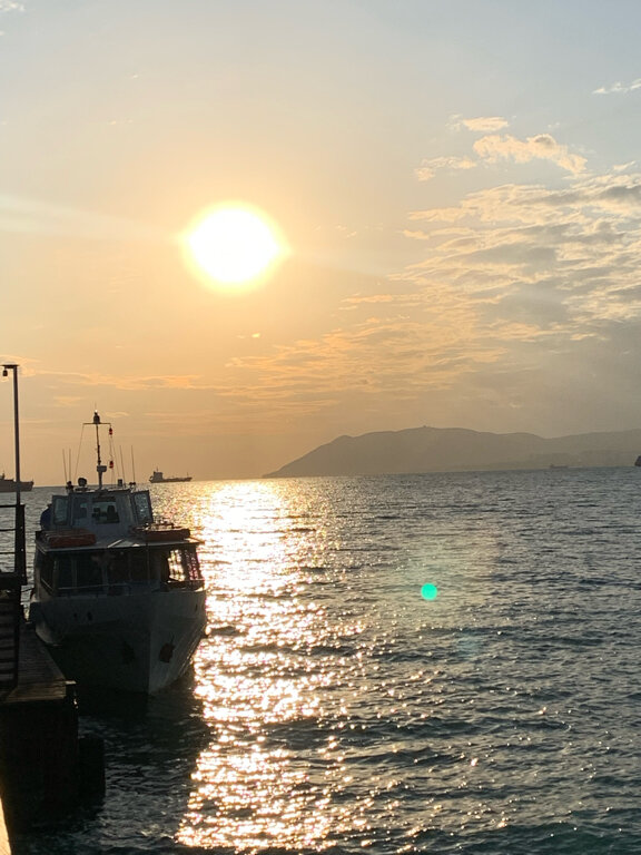 Фото Ленивый тюлень