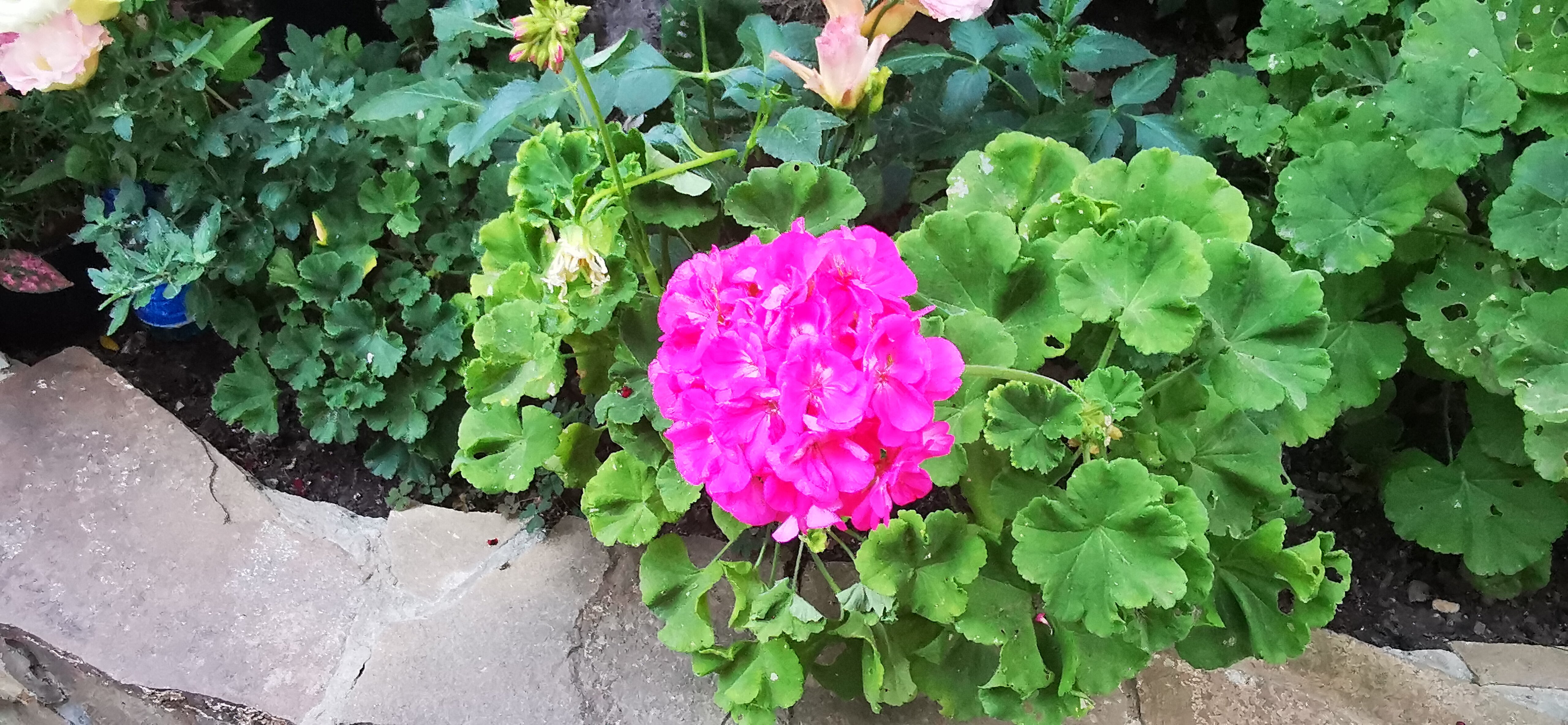 Фото Таврида