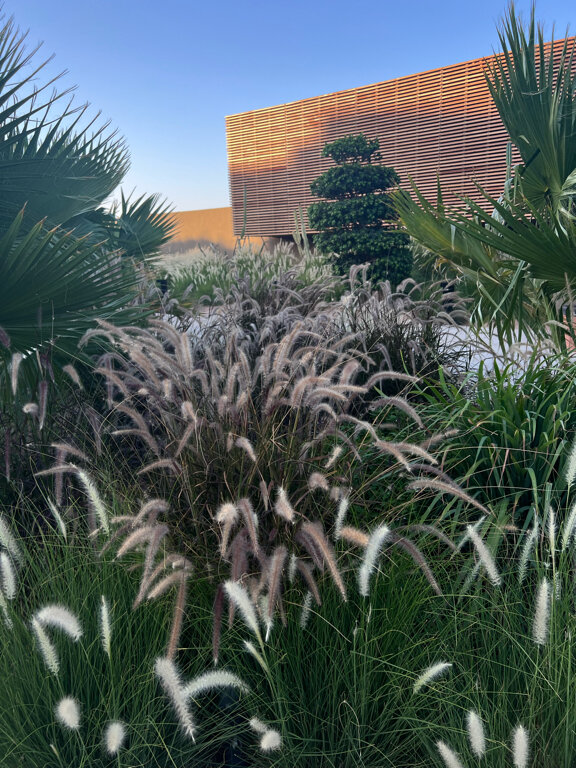 Фото Casa Cook El Gouna - Adults Only