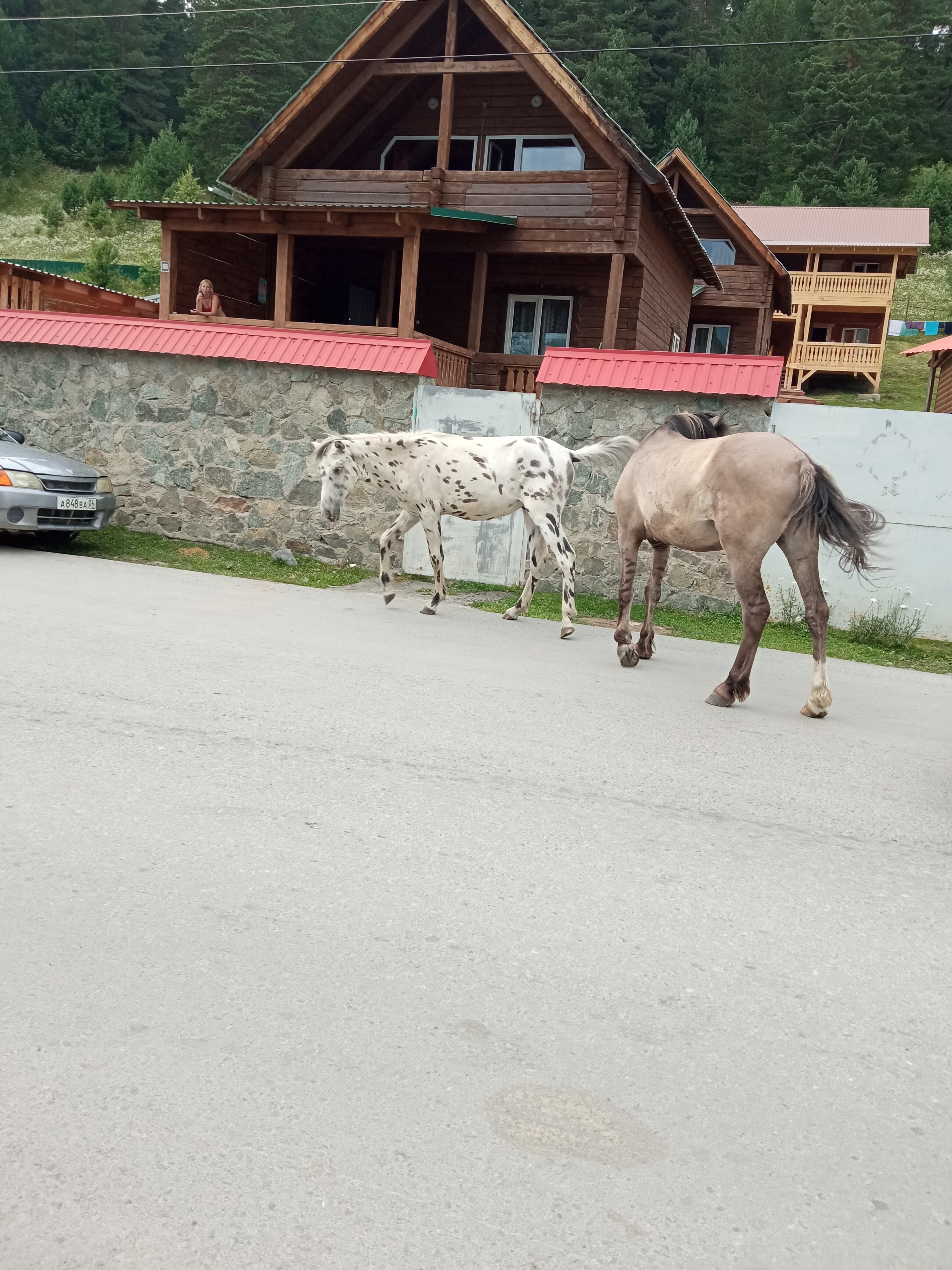 Фото Жемчужина