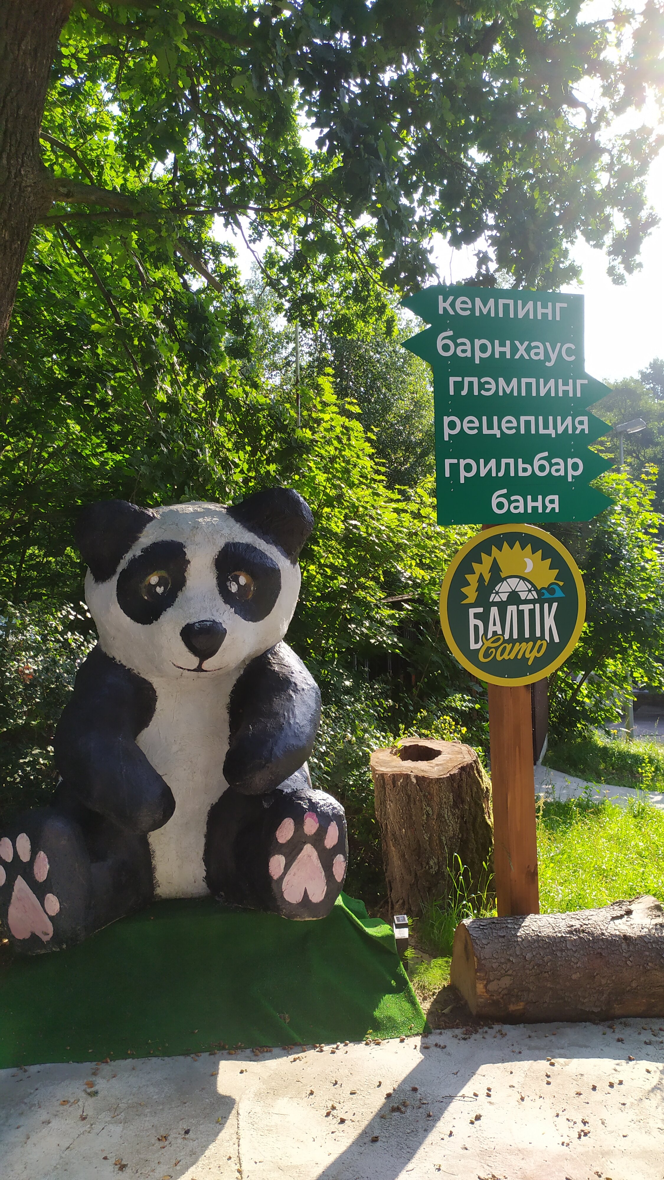 Фото Балтик Спорт