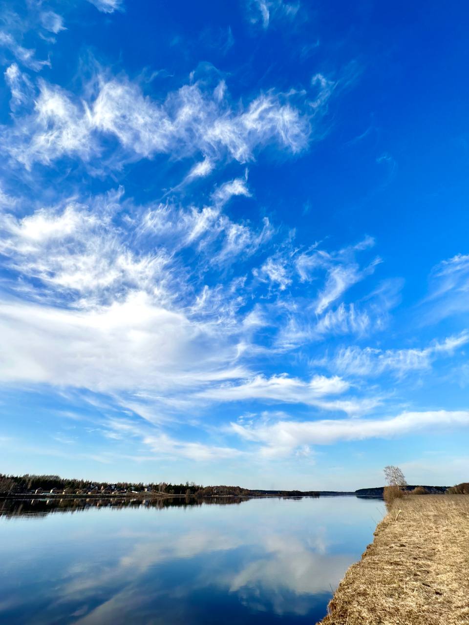 Фото HappyTreeCamp