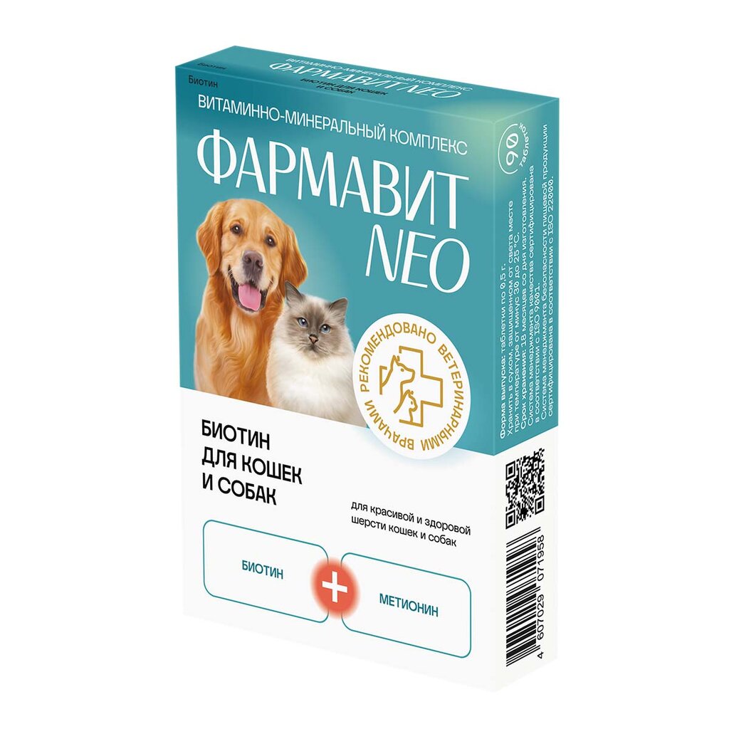 Pet shop 29zoo, Arkhangelsk, photo