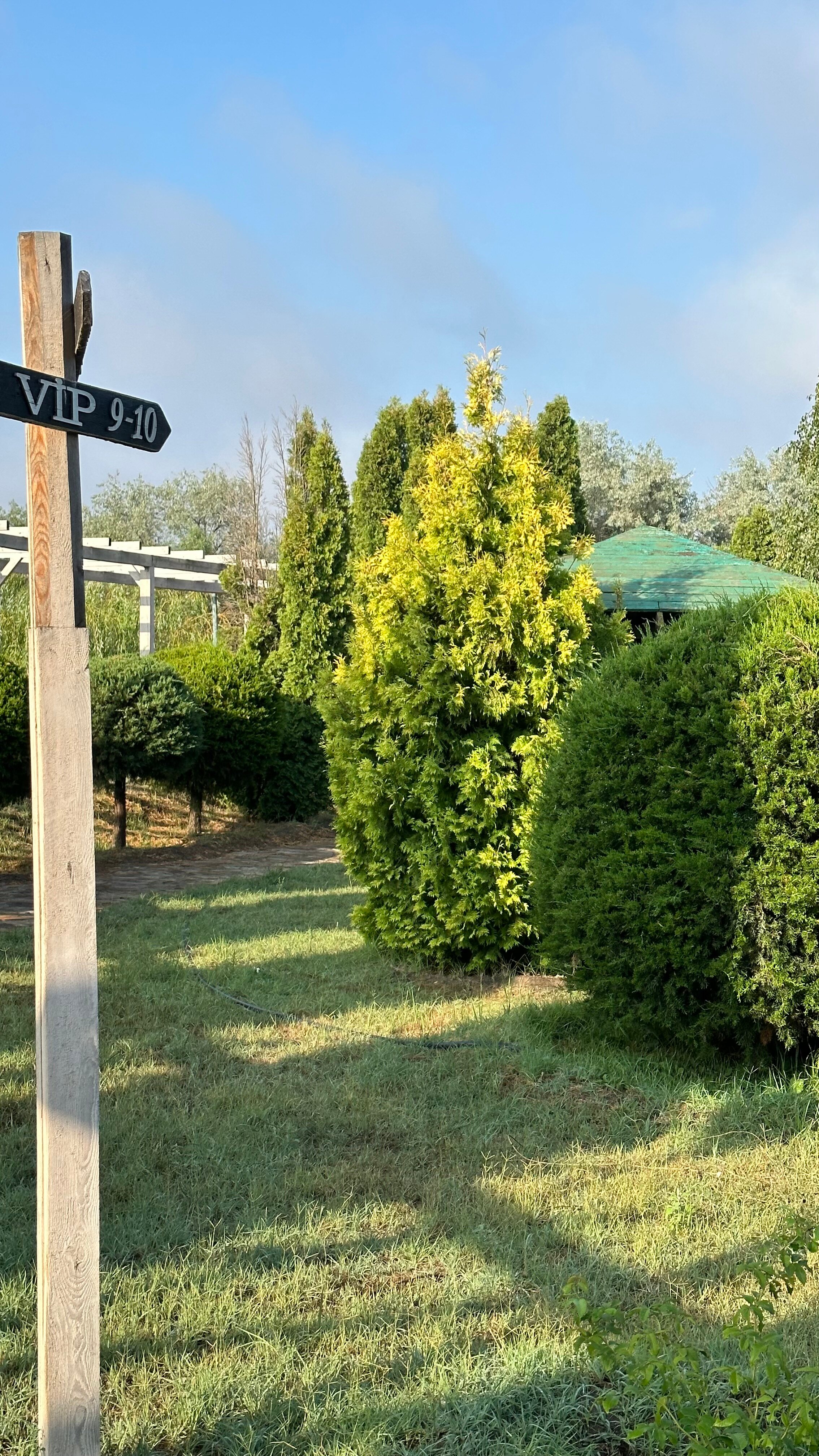 Фото Ковчег