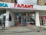 Galant (Chelyuskintsev Street, 21), tienda de bolsos y maletas