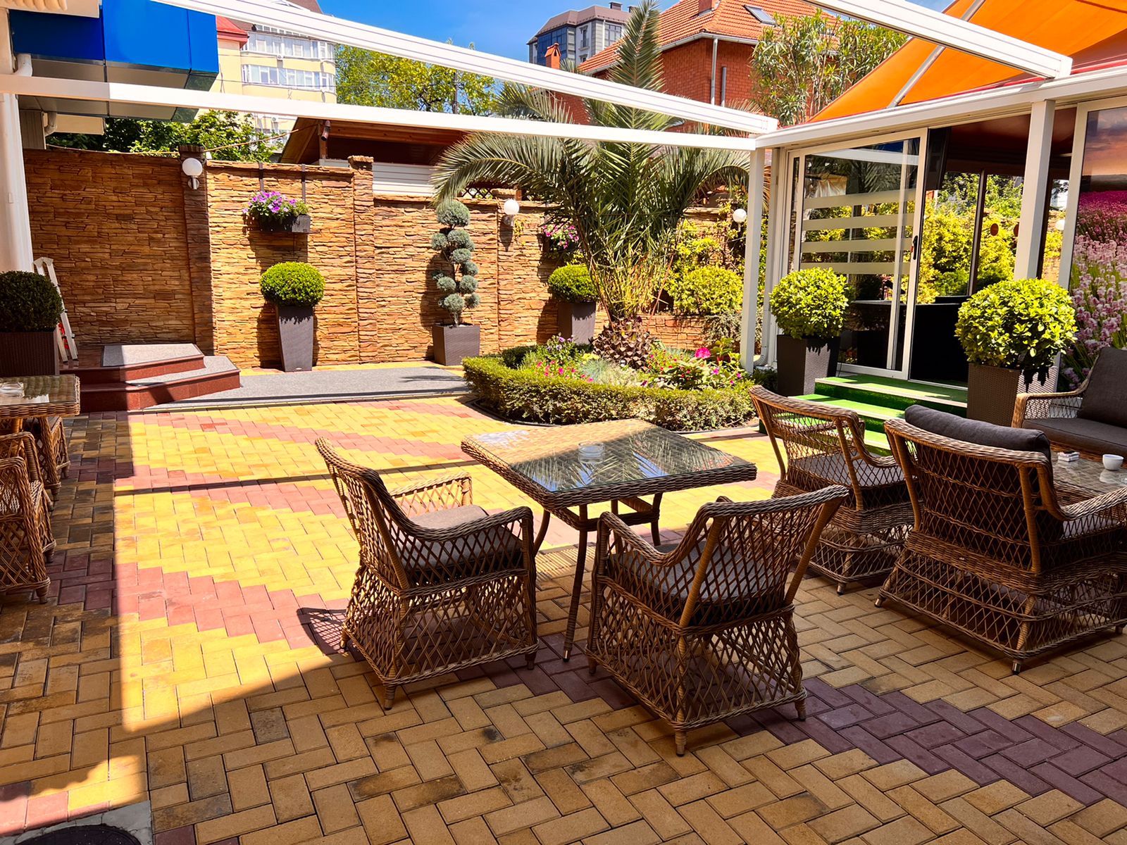 Фото Дельфин