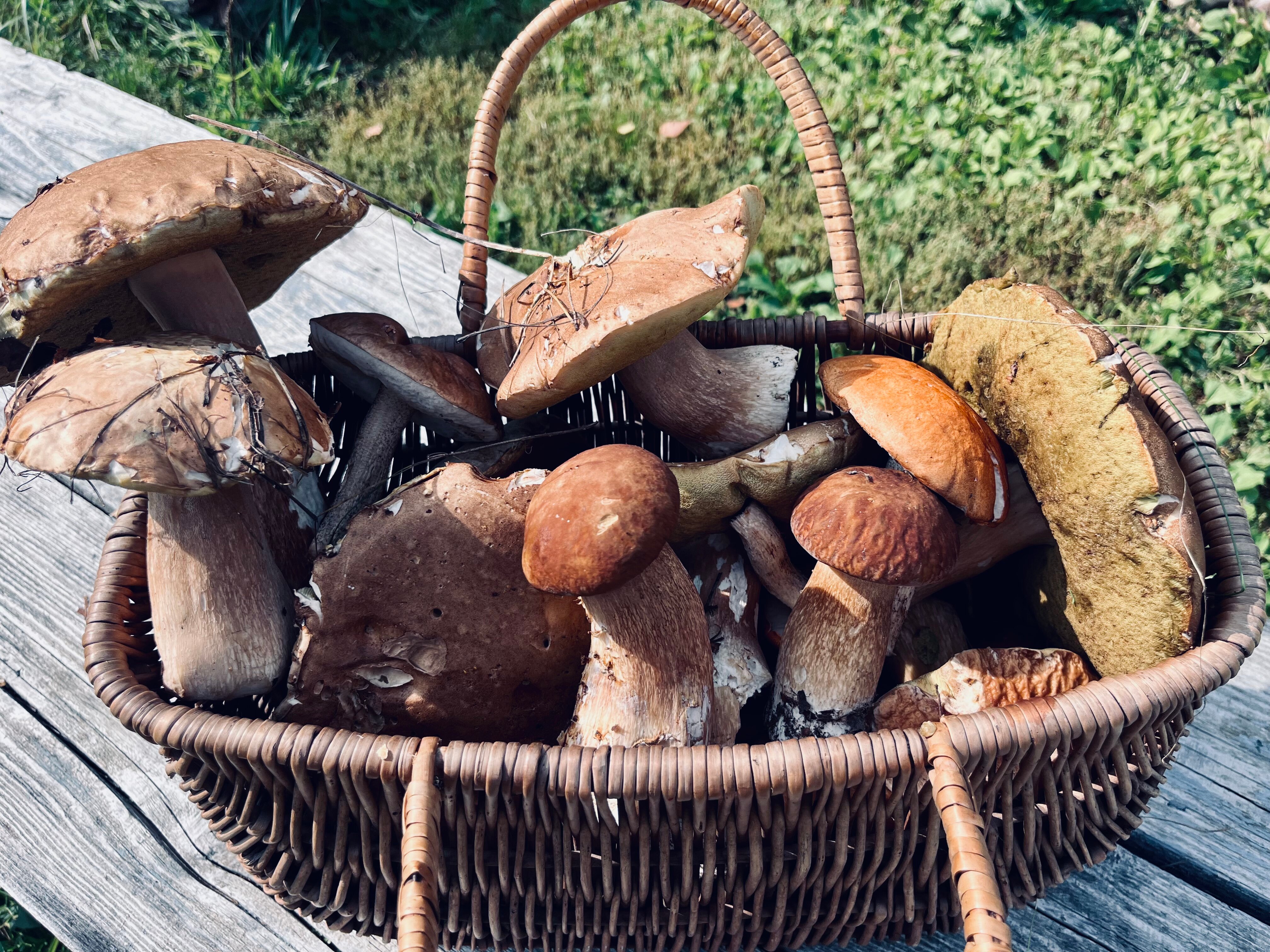 Фото Арт Хаус