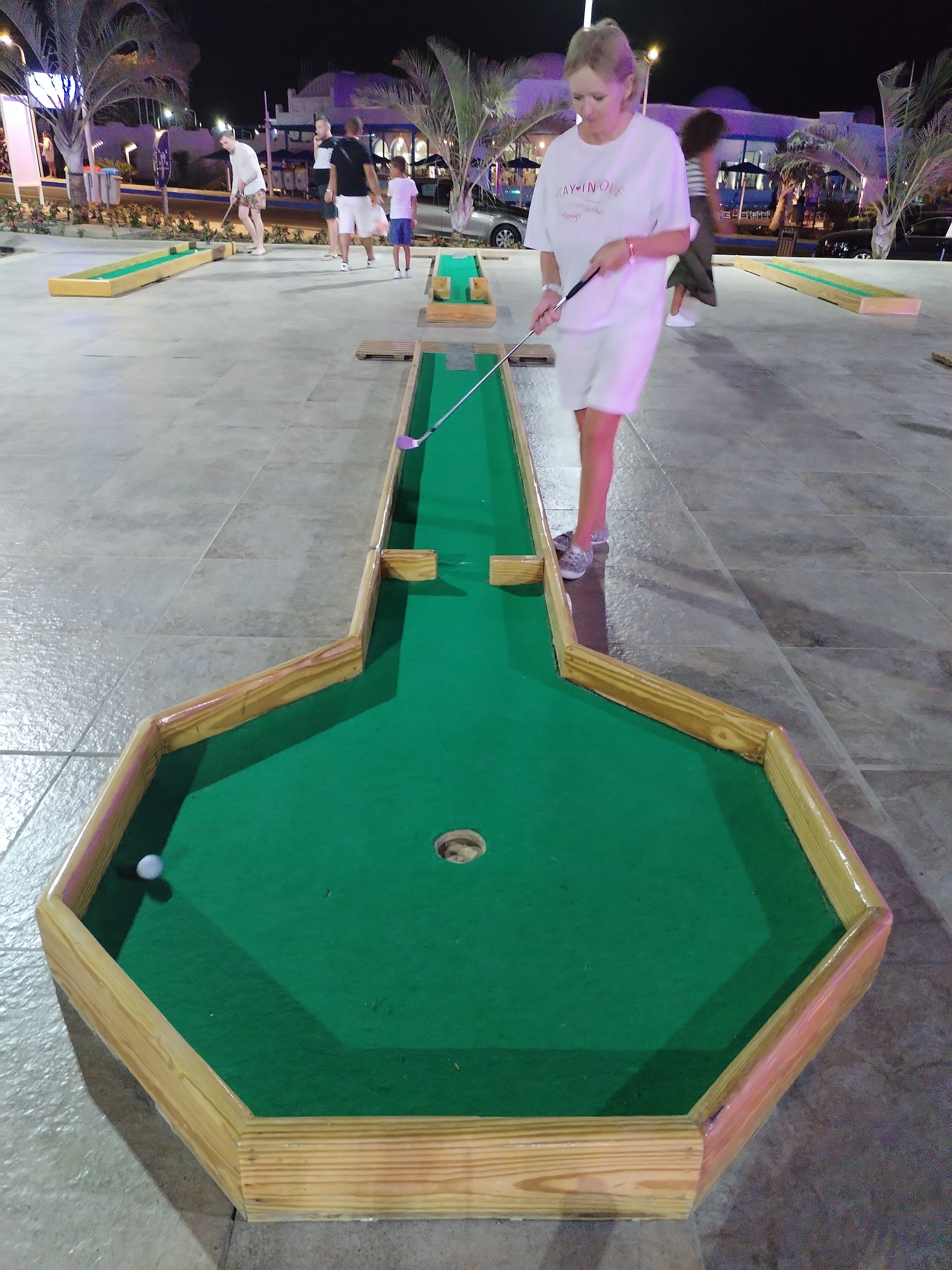 Фото Pickalbatros Palace Resort