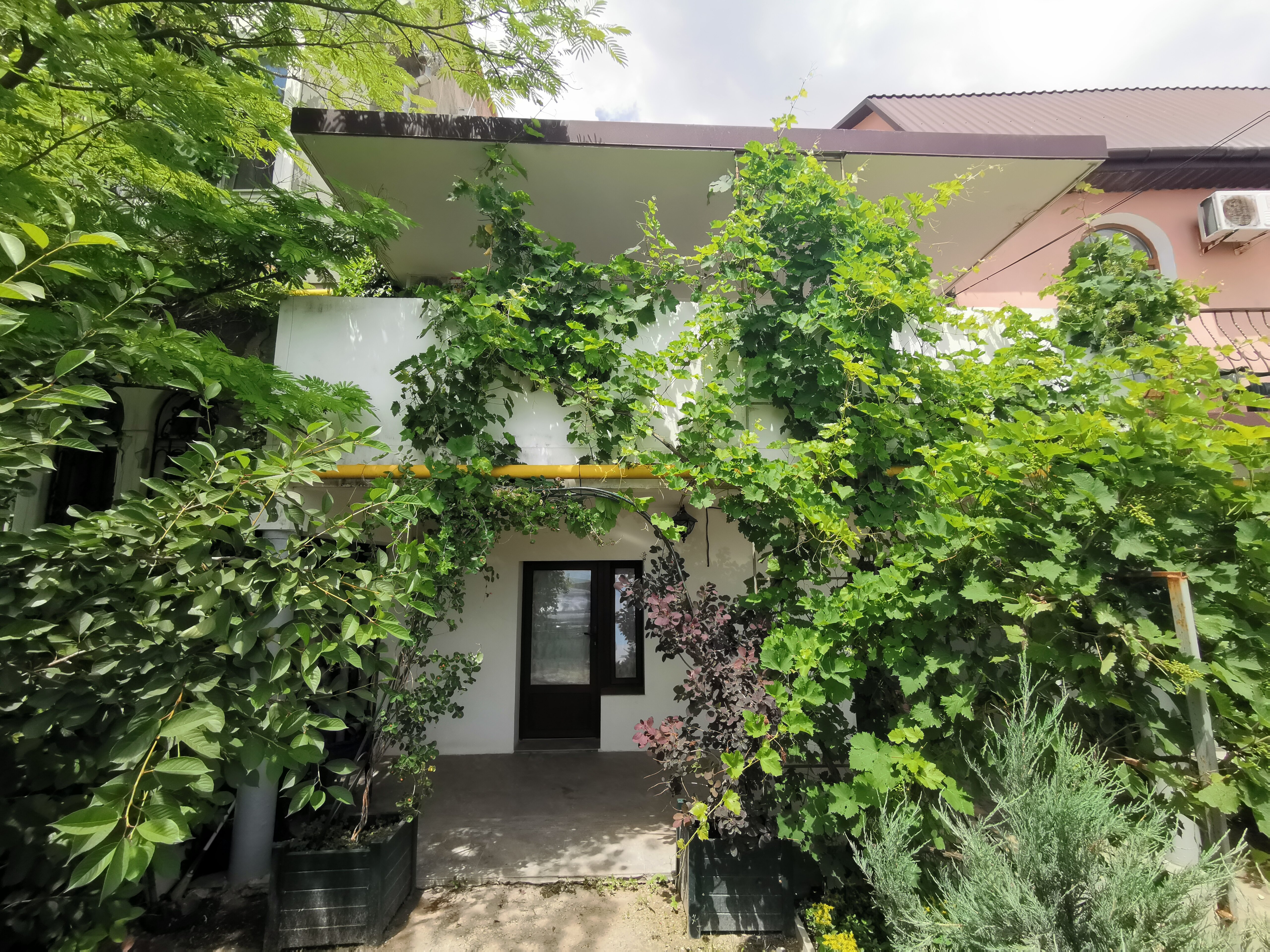 Фото Лето-Море