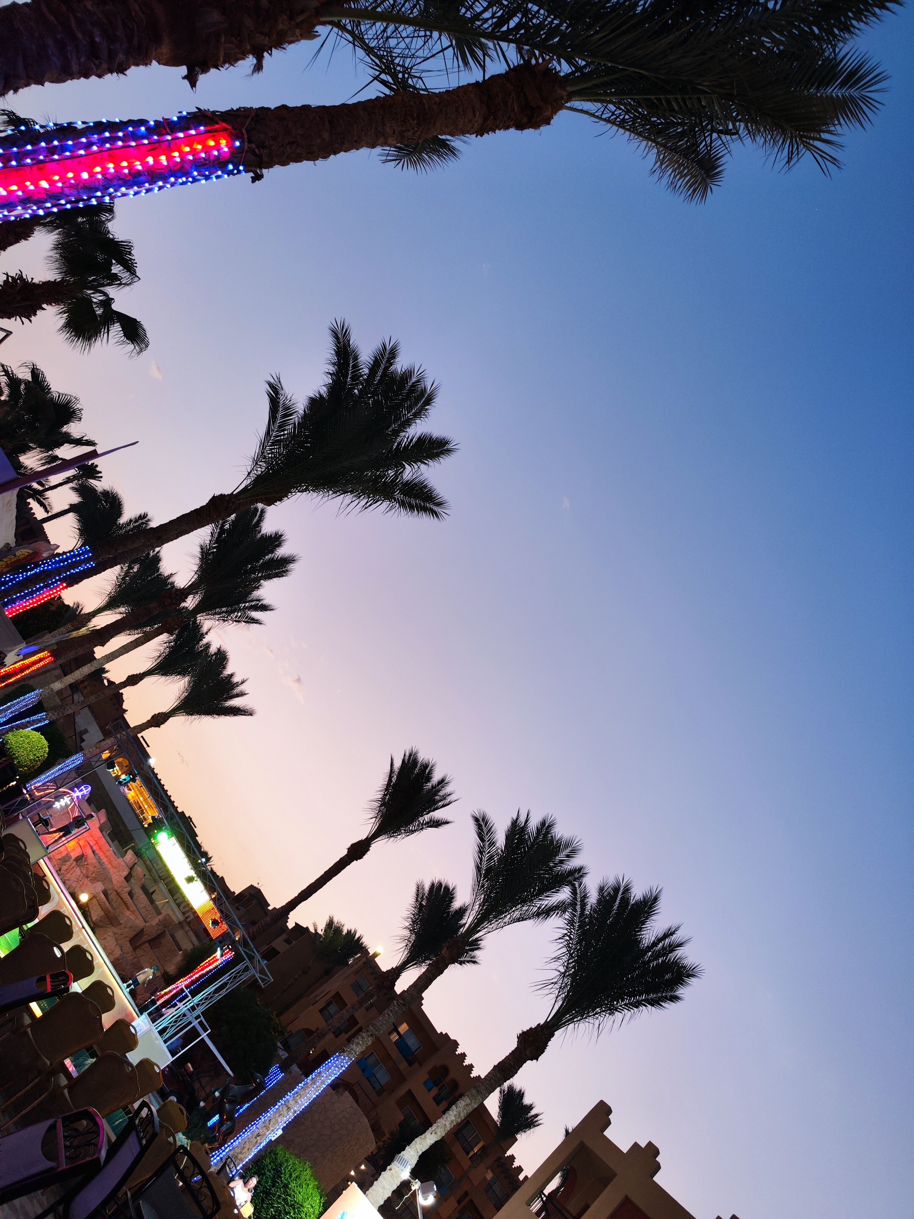 Фото Rehana Royal Beach Resort - Aquapark & SPA