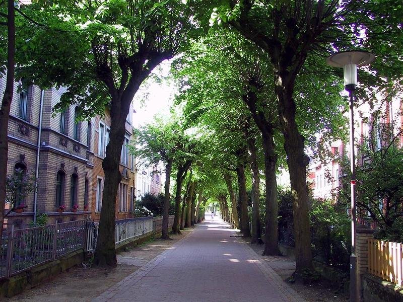 Фото Best Western Hotel Helmstedt