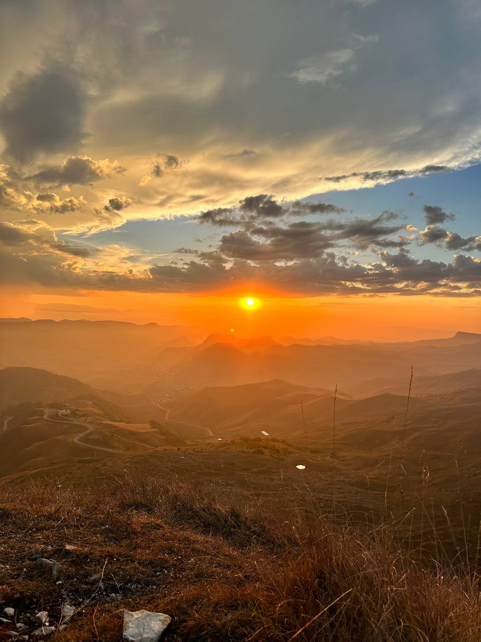 Фото Шафран