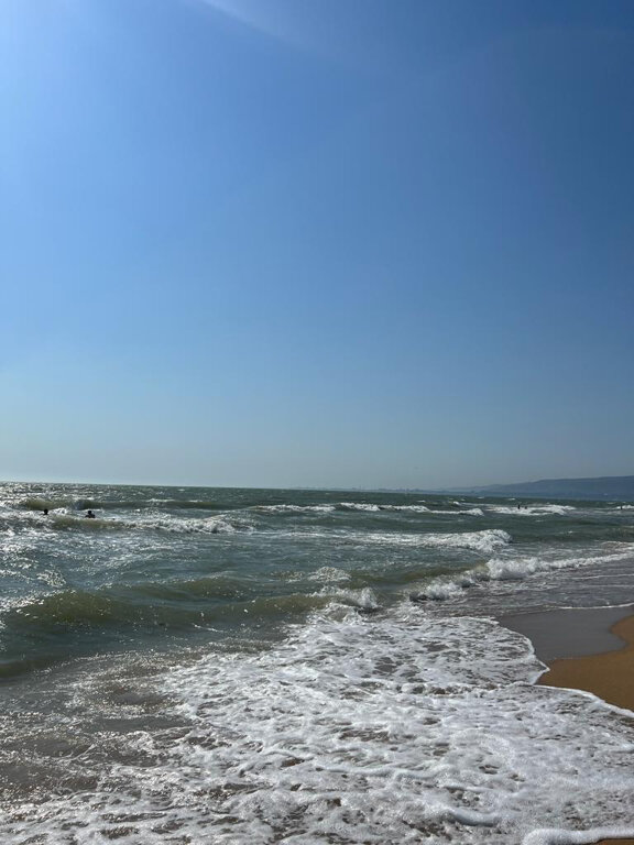 Фото Френдс Хаус