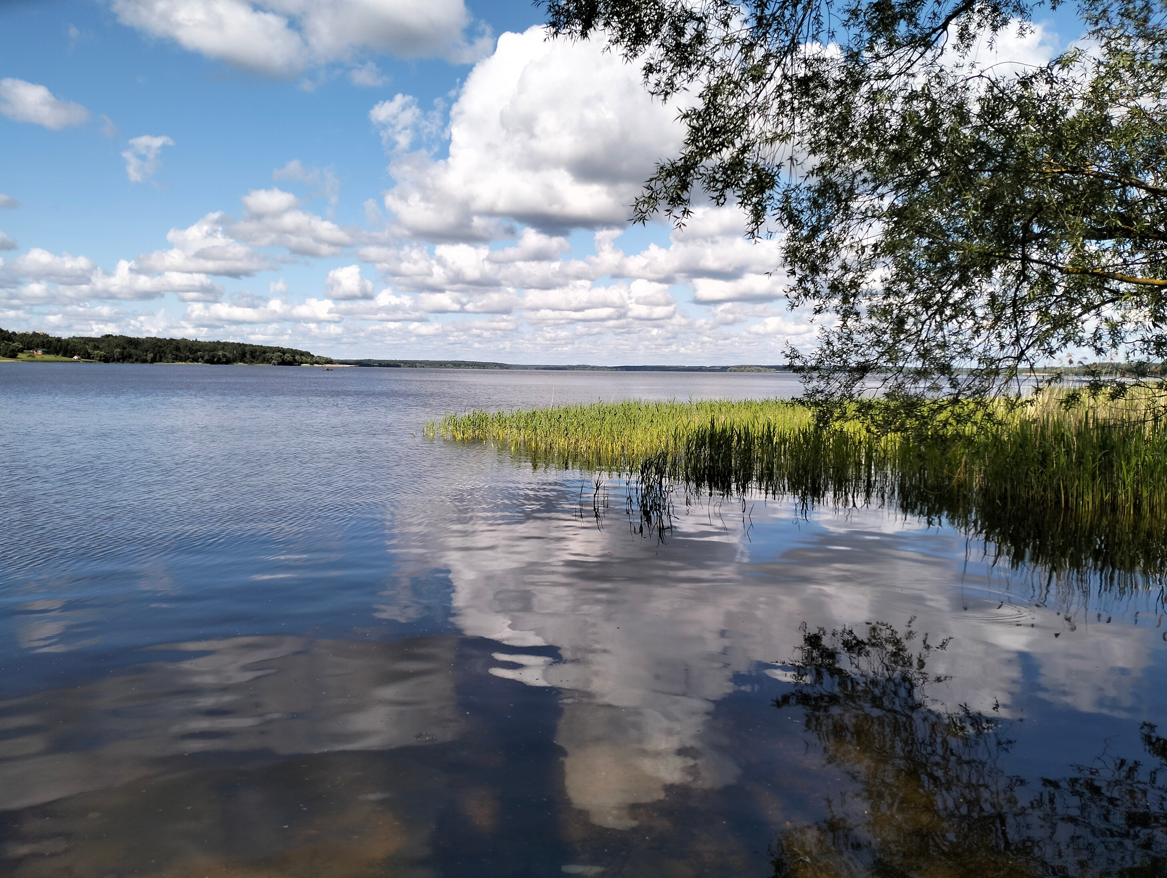 Фото Рузские Лужки