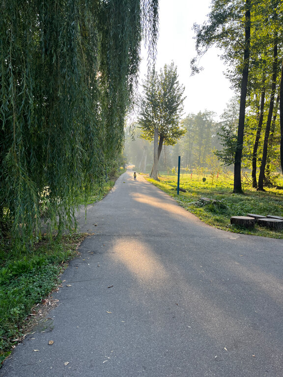 Фото Икорец