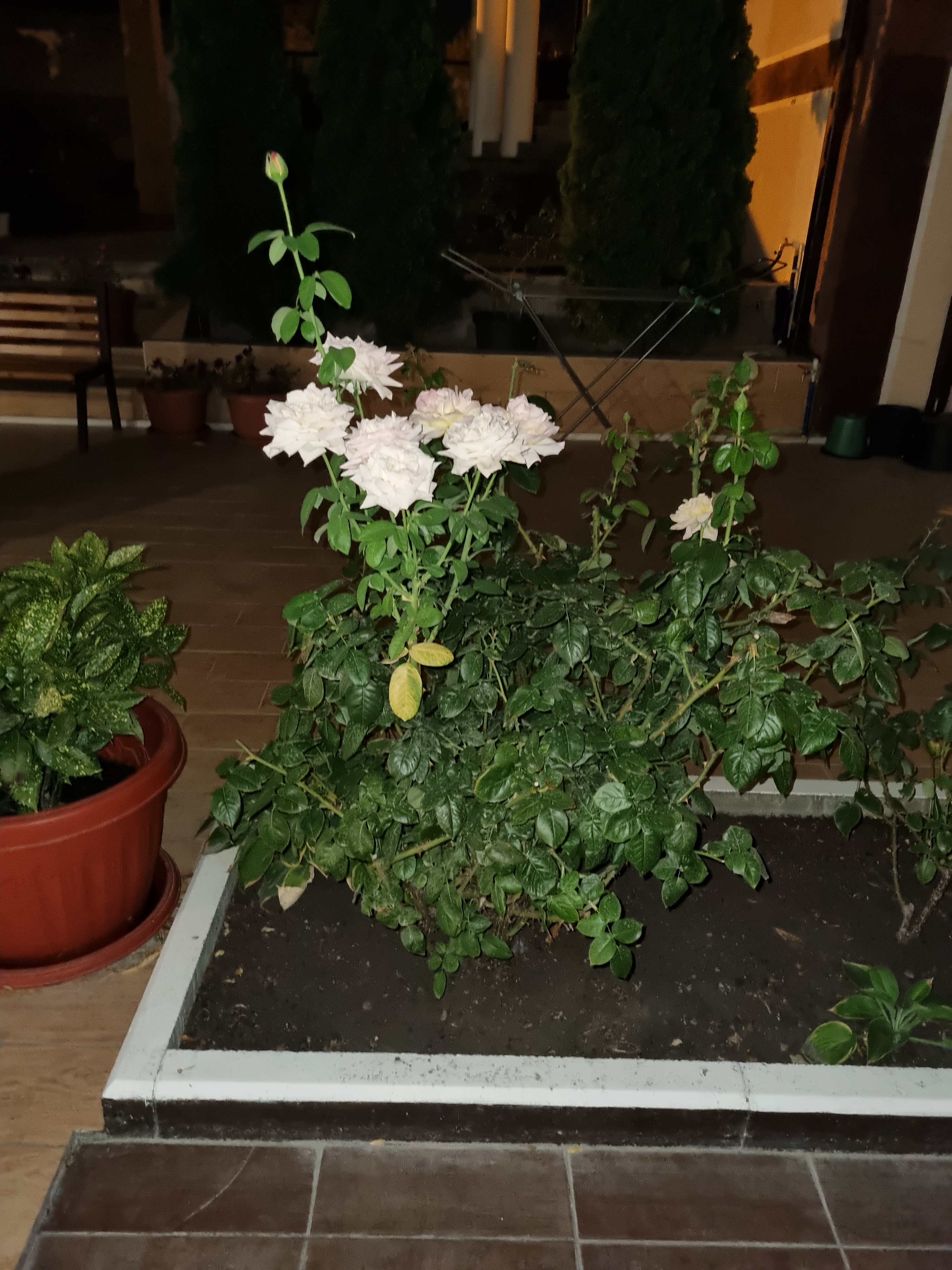 Фото Софианна