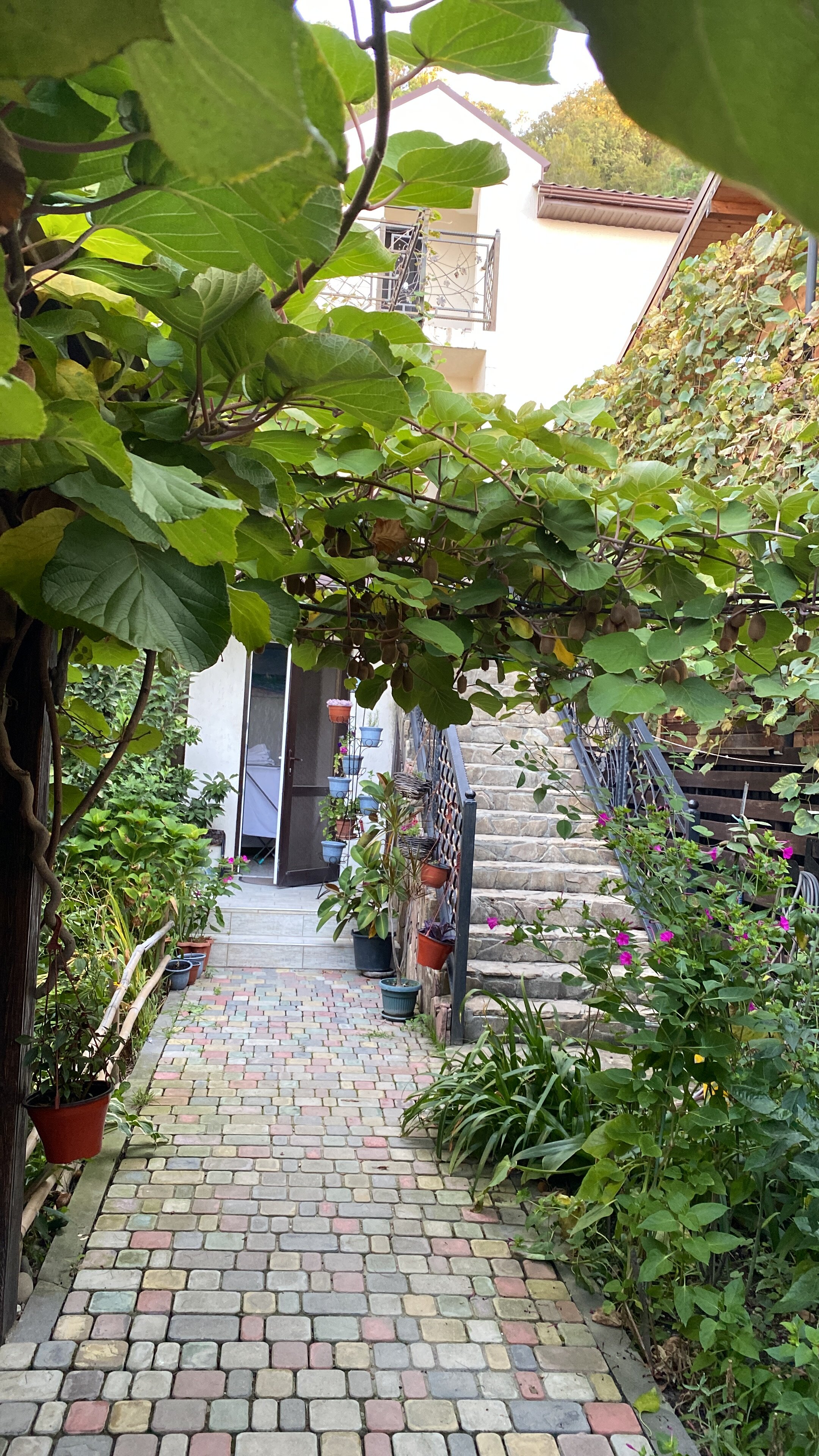 Фото Гостевой дом Гера