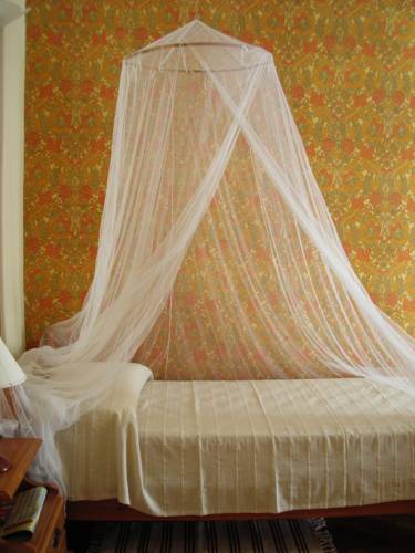 Фото A Vinicius et Mita