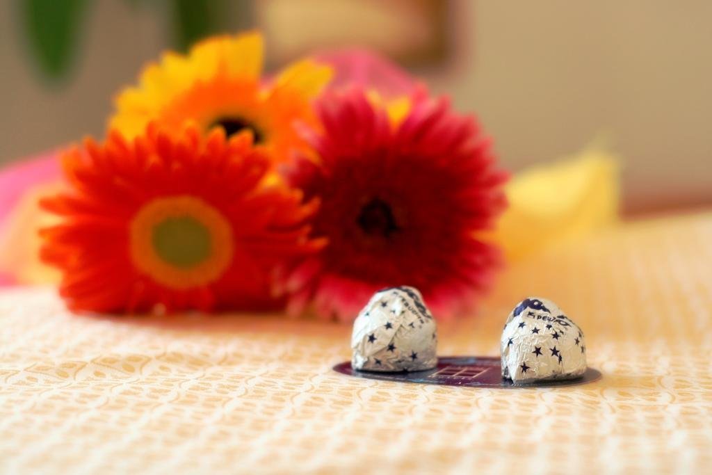 Фото Joli Park Hotel