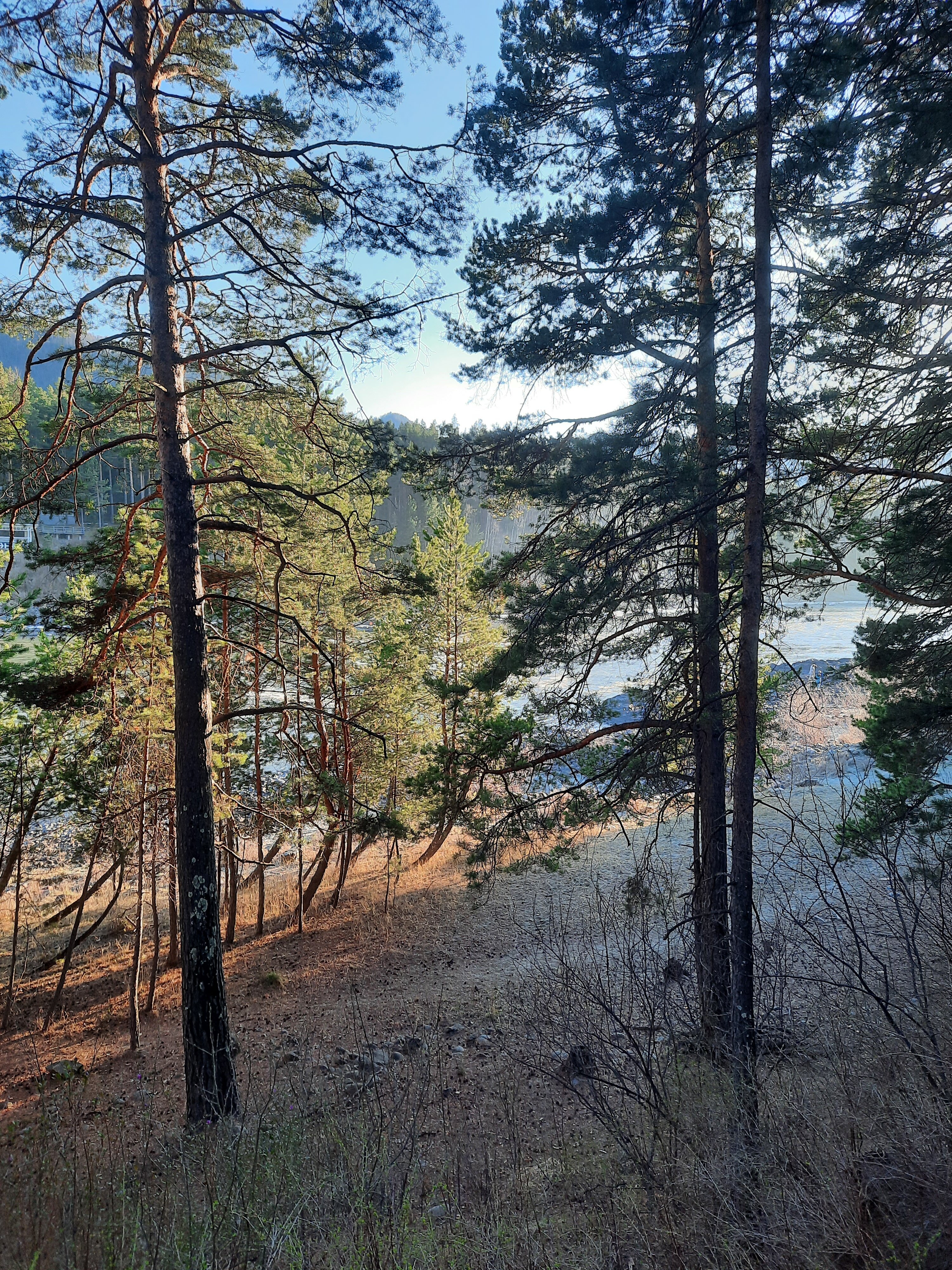 Фото Классика