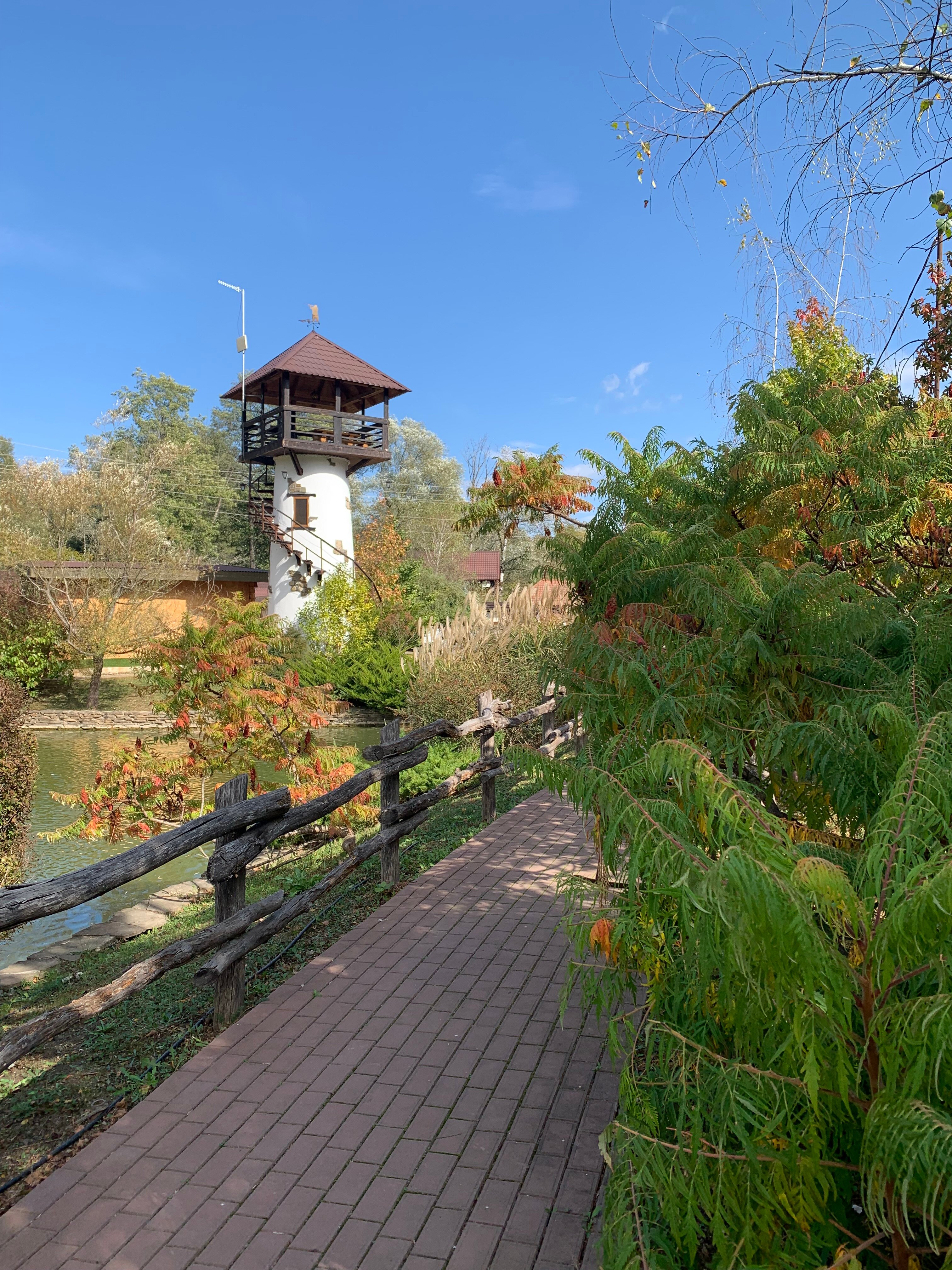 Фото Кура-цеце