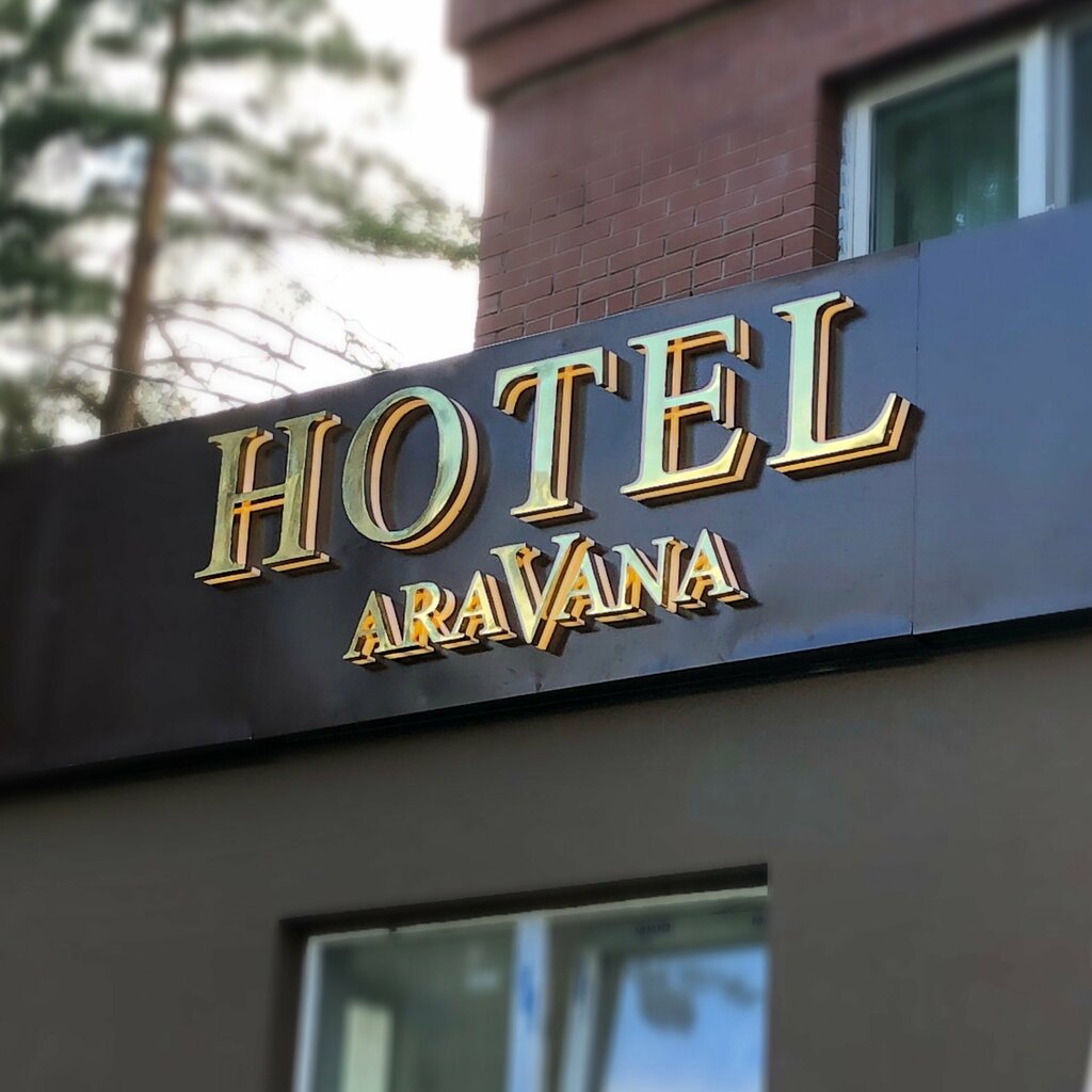 Hotel Aravana, Krasnogorsk, photo