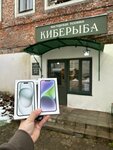 Киберыба (Соборная площадь, 4), ремонт телефонов в Рыбинске