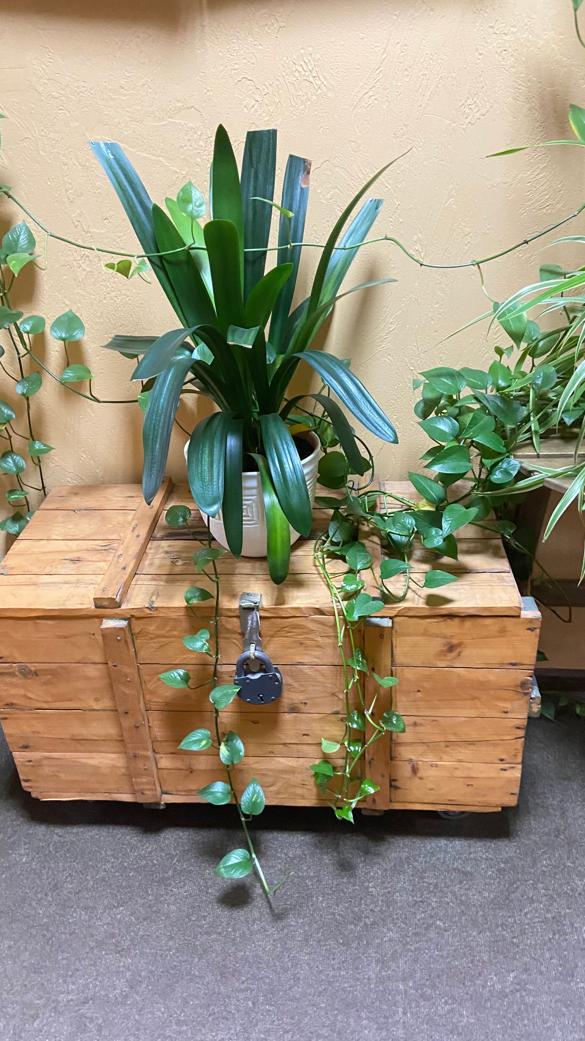 Фото Екатерингоф